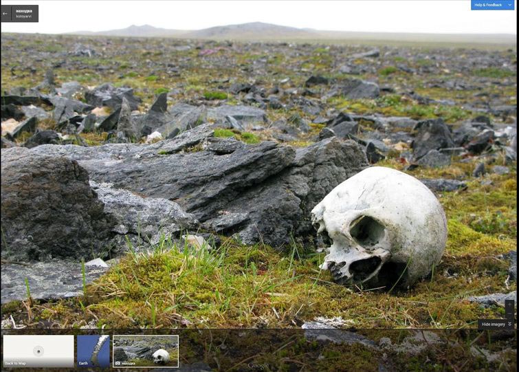 странные фото Google Maps, странные фотографии машина Google, странные фото сделанные Google 