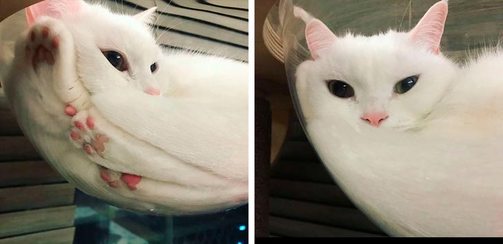 удивительные фотографии, поразительные фотографии об этом мире 