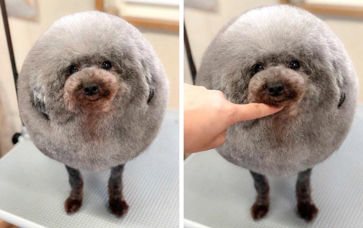 удивительные фотографии, поразительные фотографии об этом мире 