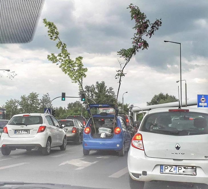 удивительные фотографии, поразительные фотографии об этом мире 