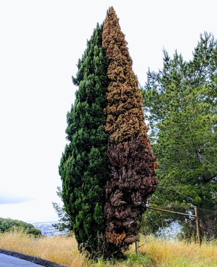 удивительные фотографии, поразительные фотографии об этом мире 