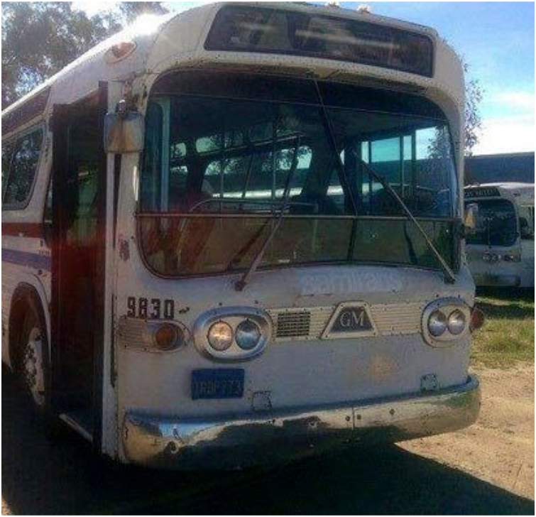 дом на колёсах из автобуса, женщина дом на колесах, из автобуса в дом на колесах