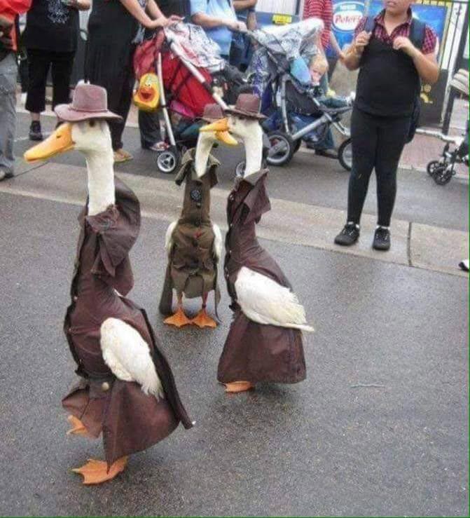 25 странных фотографий, которые веселят до слёз и оставляют после себя много вопросов мозговзрывные фото, странные фотографии, необъяснимые фотографии, фотографии сложно объяснить