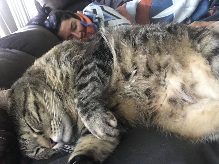 25 странных фотографий, которые веселят до слёз и оставляют после себя много вопросов мозговзрывные фото, странные фотографии, необъяснимые фотографии, фотографии сложно объяснить