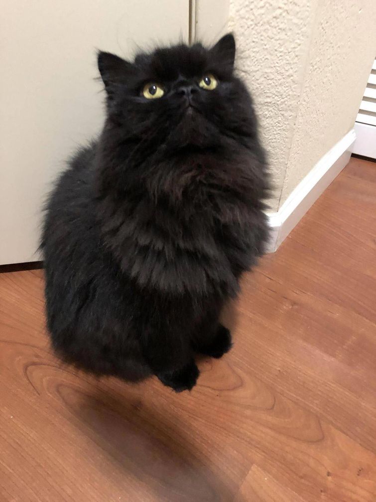 25 странных фотографий, которые веселят до слёз и оставляют после себя много вопросов мозговзрывные фото, странные фотографии, необъяснимые фотографии, фотографии сложно объяснить