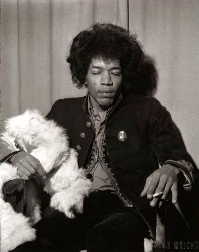 знаменитости с питомцами, музыканты с питомцами