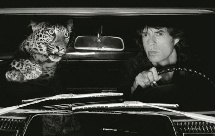 знаменитости с питомцами, музыканты с питомцами