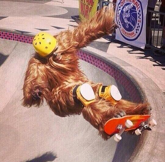 Исторические кадры, редкие архивные фотографии, исторические события, редкие фото звёзд