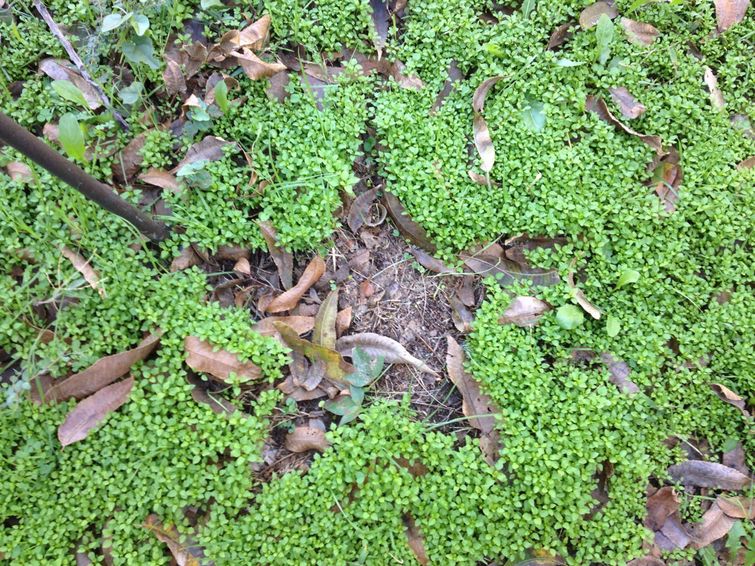 безупречные совпадения, идеальные совпадения, одни вещи идеально подошли к другим