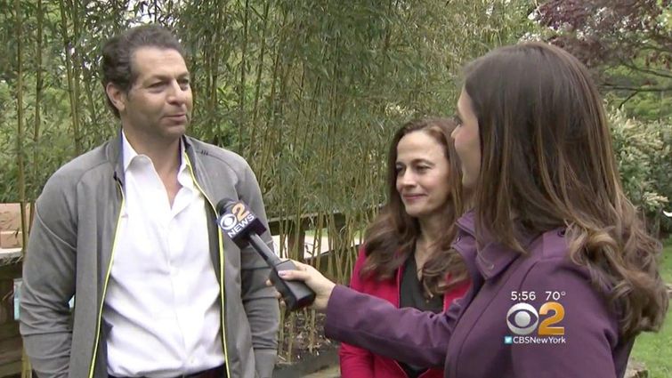 сейф в саду, металлический ящик в саду, принимали ящик за электрощиток, сокровища в саду