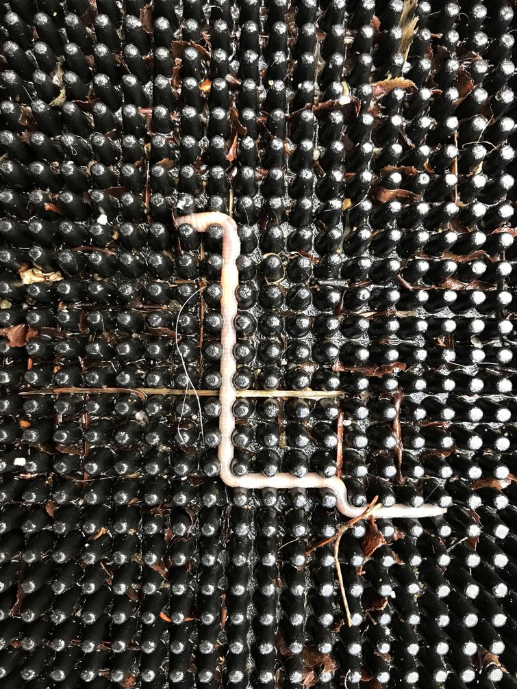 вещи с неожиданных сторон, вещи с неожиданных ракурсов, вещи какими не видели