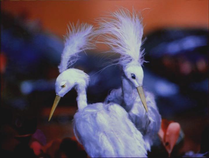 Жуткие советские мультфильмы, страшные советские мультики 