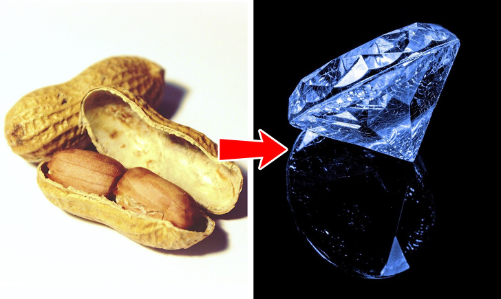 15 фактов о привычных продуктах, которые удивят даже тех кто разбирается в кулинарии факты о привычных продуктах, неожиданные факты о еде, странные факты о еде