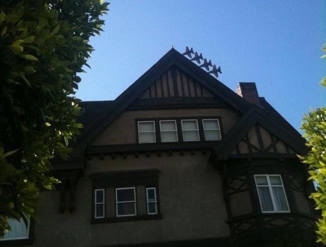 фото в нужный момент, фотографии с сюрпризами, фотографии с совпадениями, смешные фото