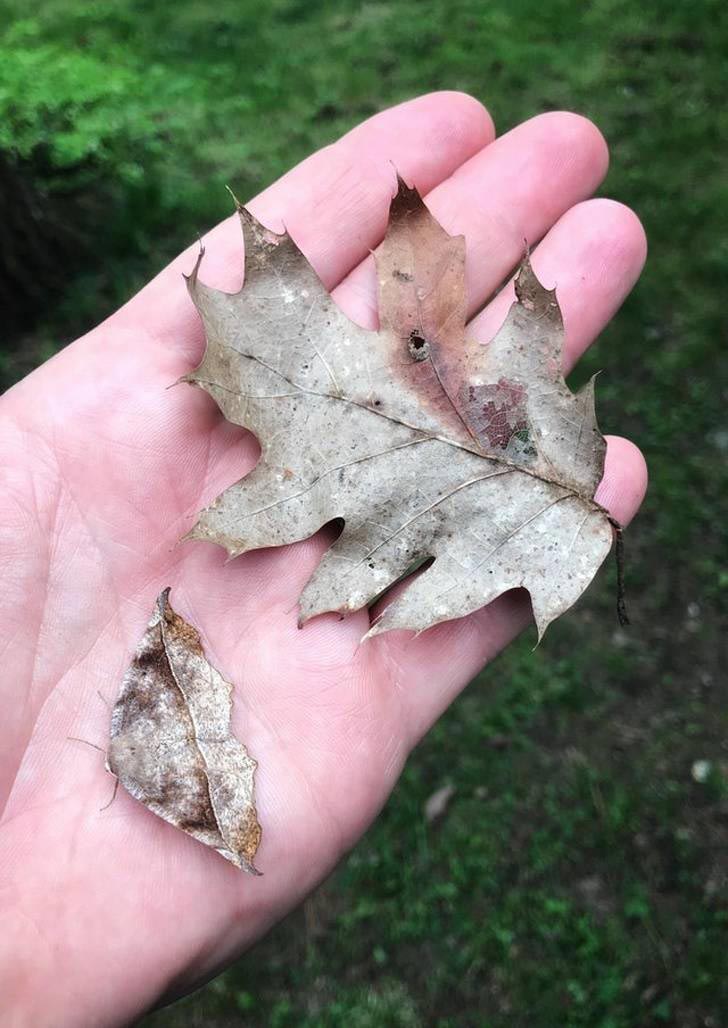 фото в нужный момент, фотографии с сюрпризами, фотографии с совпадениями, смешные фото