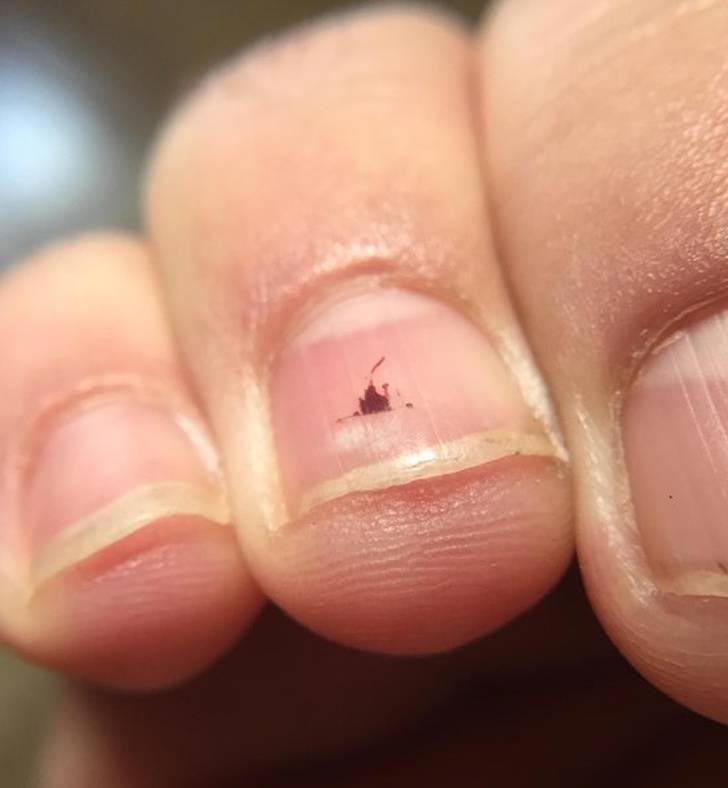 фото в нужный момент, фотографии с сюрпризами, фотографии с совпадениями, смешные фото