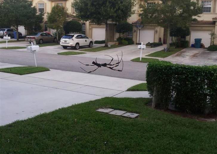 фото в нужный момент, фотографии с сюрпризами, фотографии с совпадениями, смешные фото