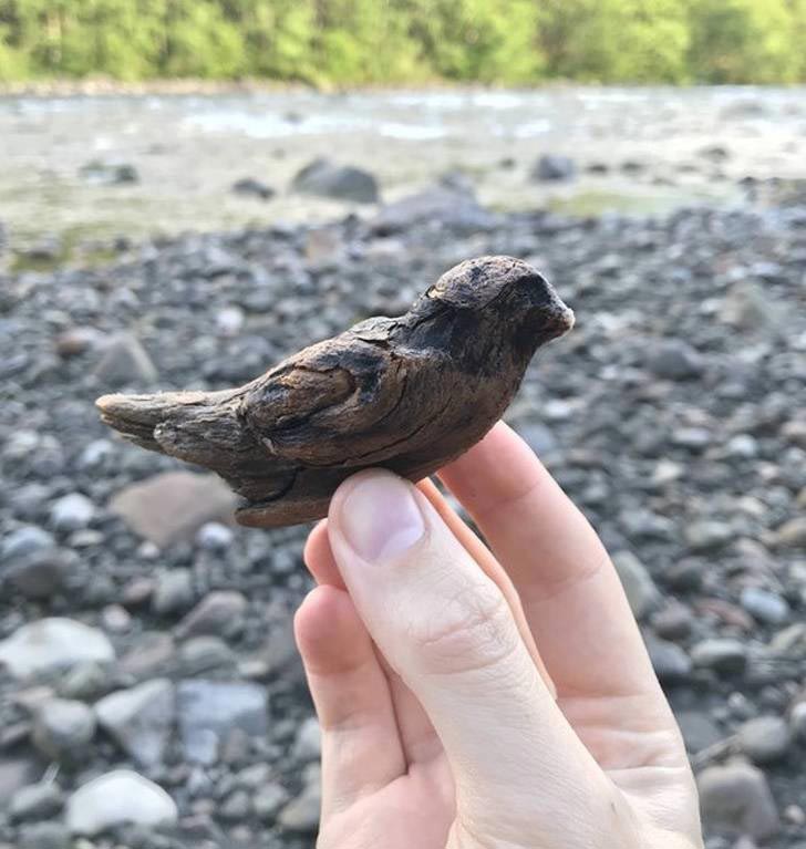 фото в нужный момент, фотографии с сюрпризами, фотографии с совпадениями, смешные фото