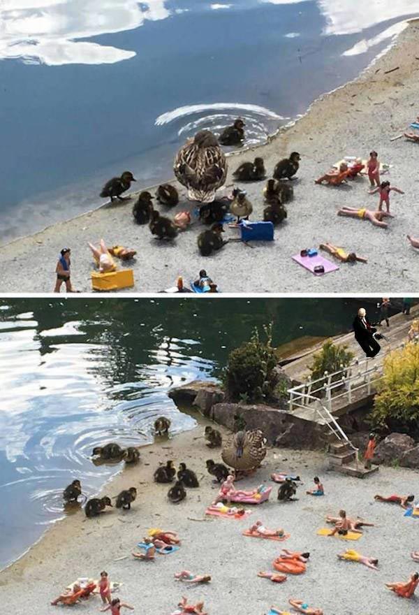 фото в нужный момент, фотографии с сюрпризами, фотографии с совпадениями, смешные фото