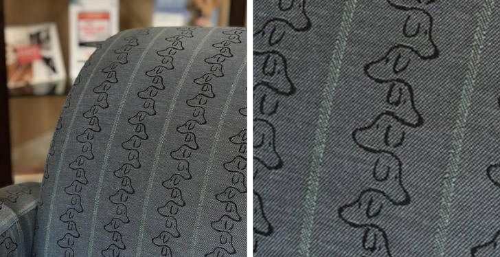 фото в нужный момент, фотографии с сюрпризами, фотографии с совпадениями, смешные фото