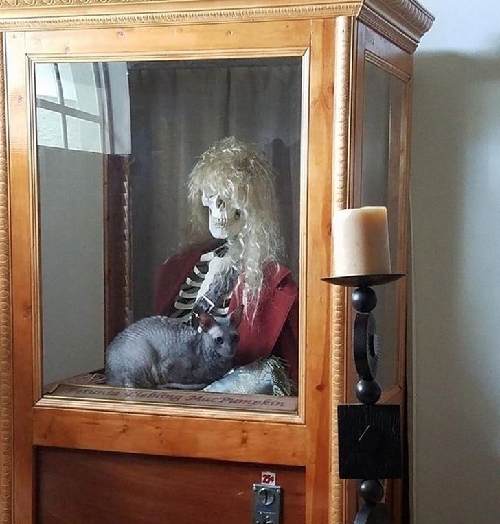 пугающие фотографии, странные фотографии 