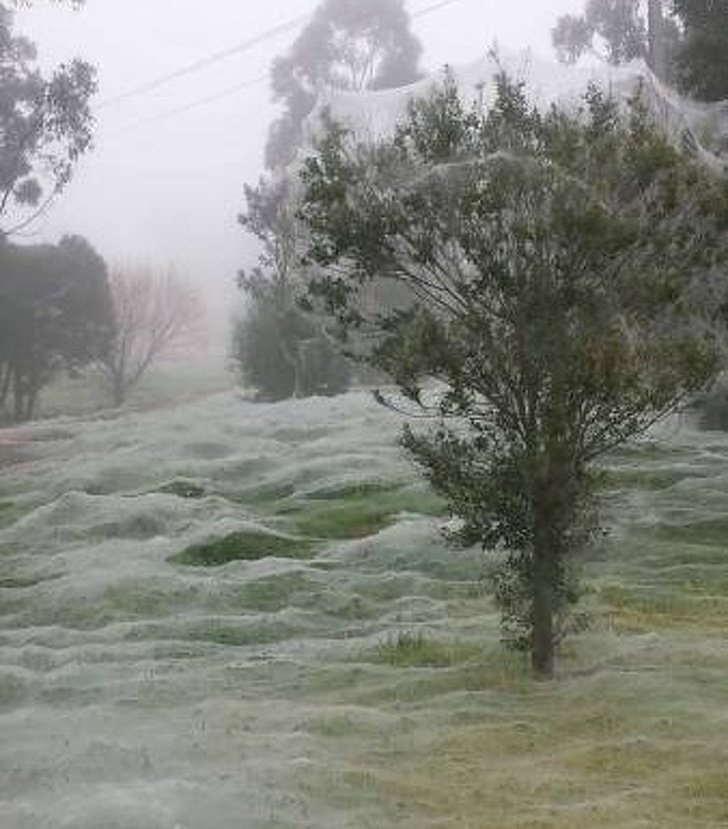 пугающие фотографии, странные фотографии 