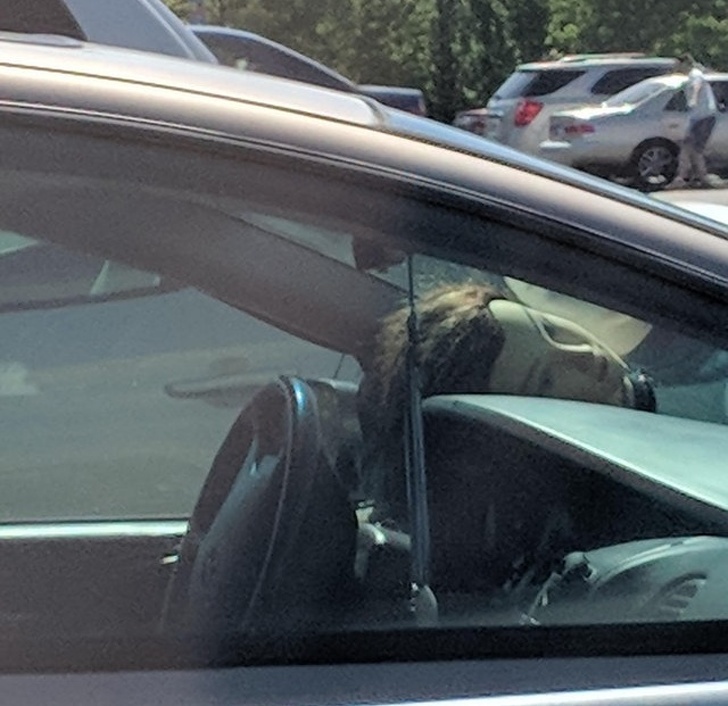 пугающие фотографии, странные фотографии 