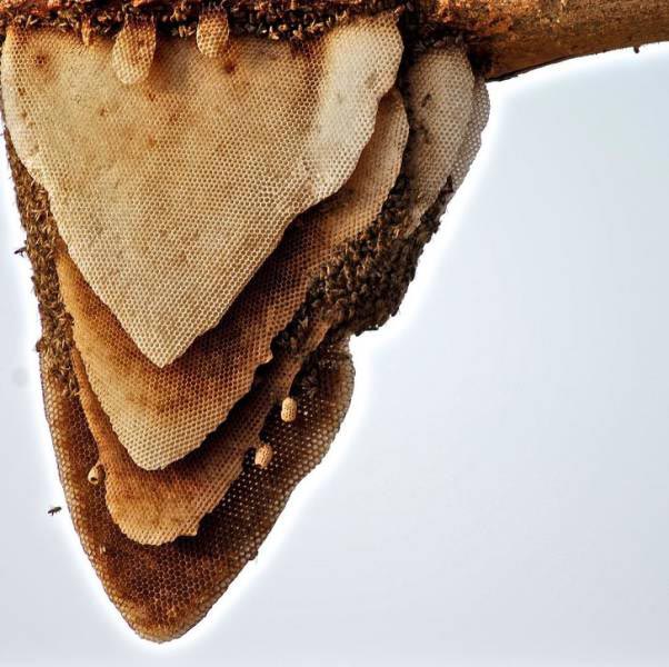 20 удивительных вещей, которые можно увидеть лишь раз в жизни вещи увидеть раз в жизни, поразительные вещи, удивительные вещи