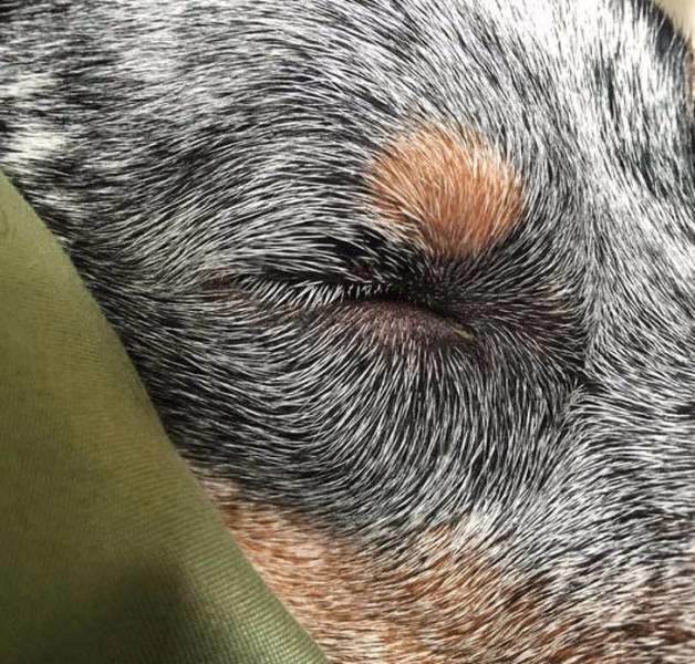 20 удивительных вещей, которые можно увидеть лишь раз в жизни вещи увидеть раз в жизни, поразительные вещи, удивительные вещи