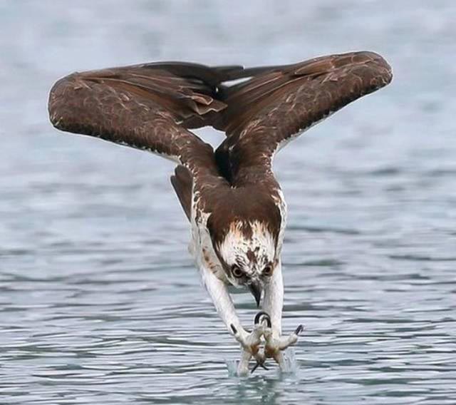 20 удивительных вещей, которые можно увидеть лишь раз в жизни вещи увидеть раз в жизни, поразительные вещи, удивительные вещи