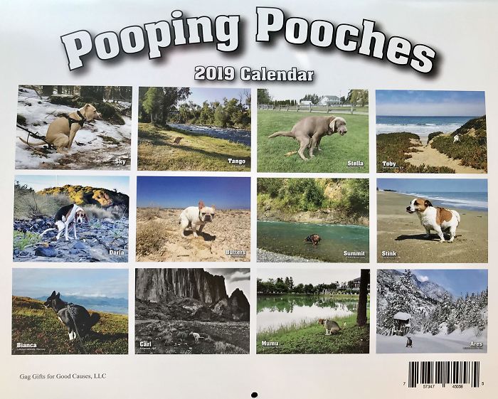 «Pooping Pooches 2019», календарь какающих собак 