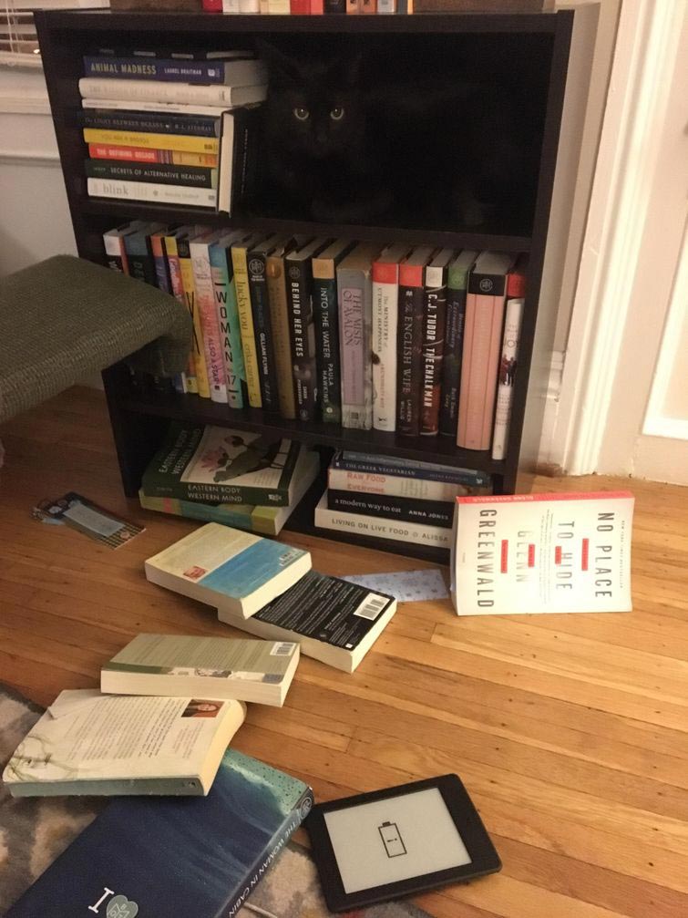 смешные животные, животные придурки, животные засранцы, смешные фото животных