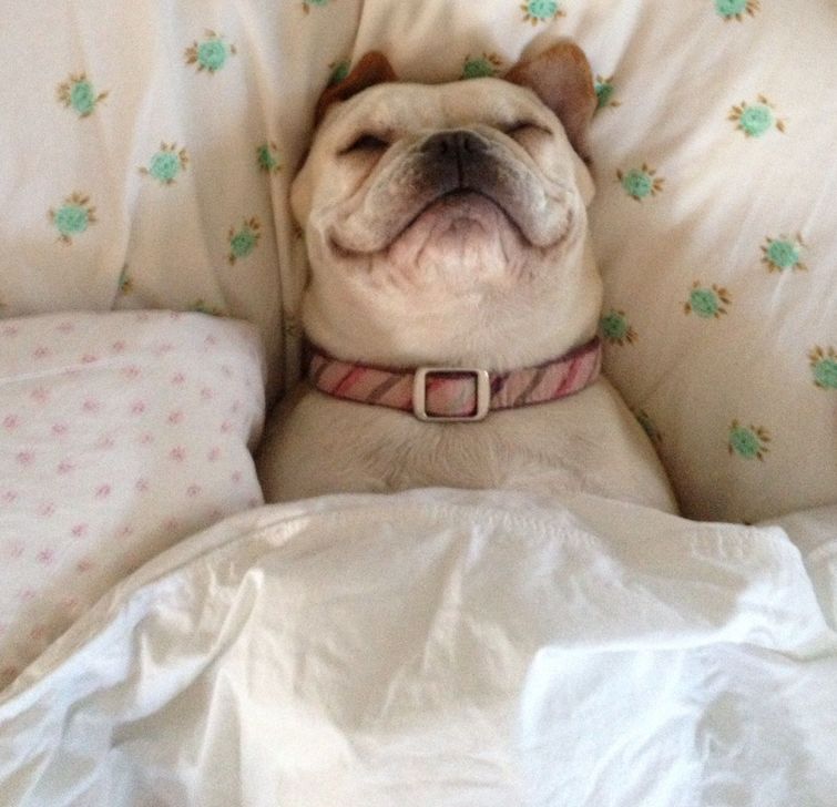 факты о сне, что мы не знали о сне