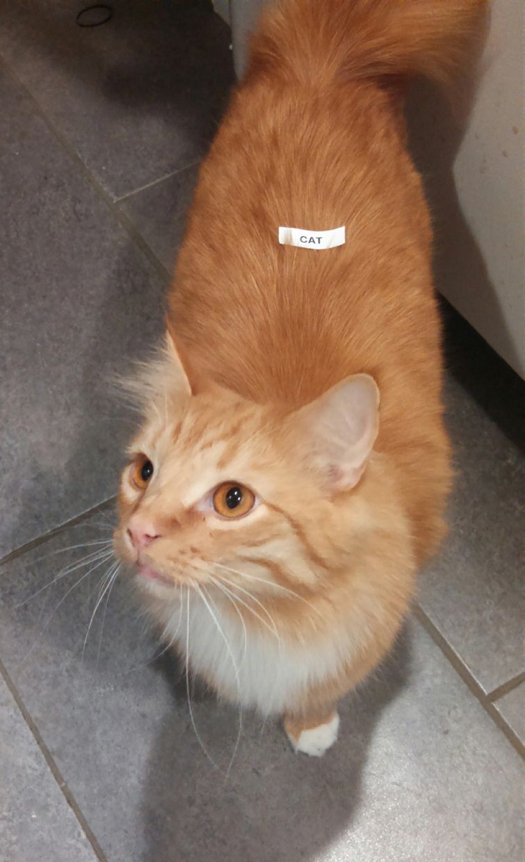 мужчины большие дети, мужчины не взрослеют, мужчины ведут себя как дети, мужчины ведут себя как маленькие