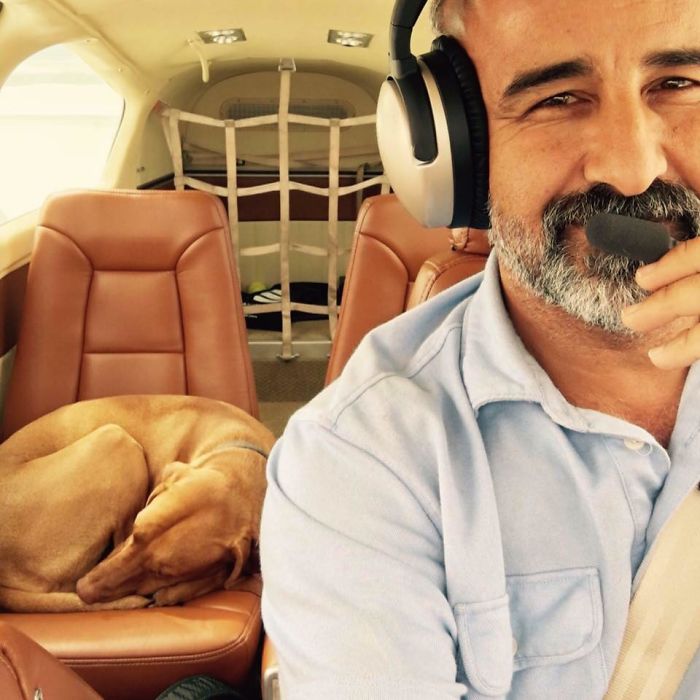 собака ждет возвращения своего хозяина домой необычным образом, собака Мюррей, Эйджей Элли, AJ Allee 