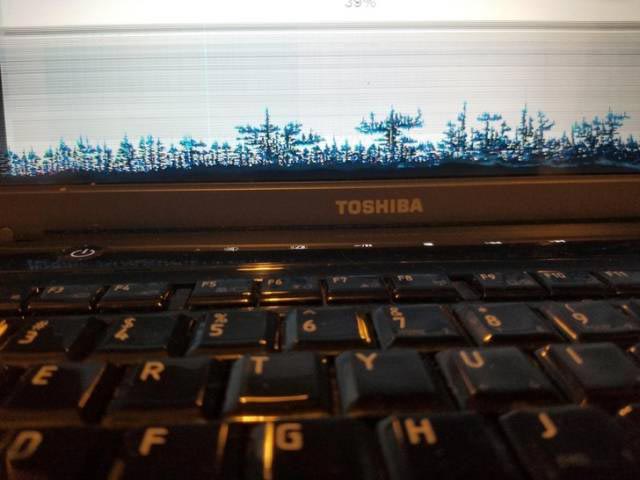 иллюзии из повседневной жизни, оптические иллюзии из повседневной жизни, неожиданные оптические иллюзии, смешные фотографии иллюзии