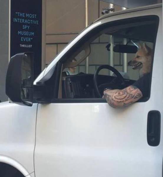 иллюзии из повседневной жизни, оптические иллюзии из повседневной жизни, неожиданные оптические иллюзии, смешные фотографии иллюзии