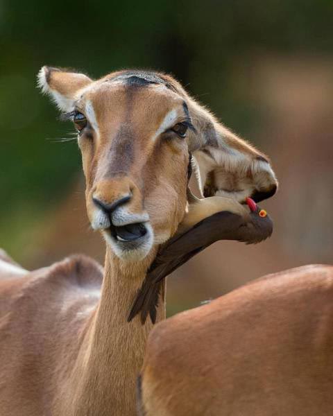 иллюзии из повседневной жизни, оптические иллюзии из повседневной жизни, неожиданные оптические иллюзии, смешные фотографии иллюзии