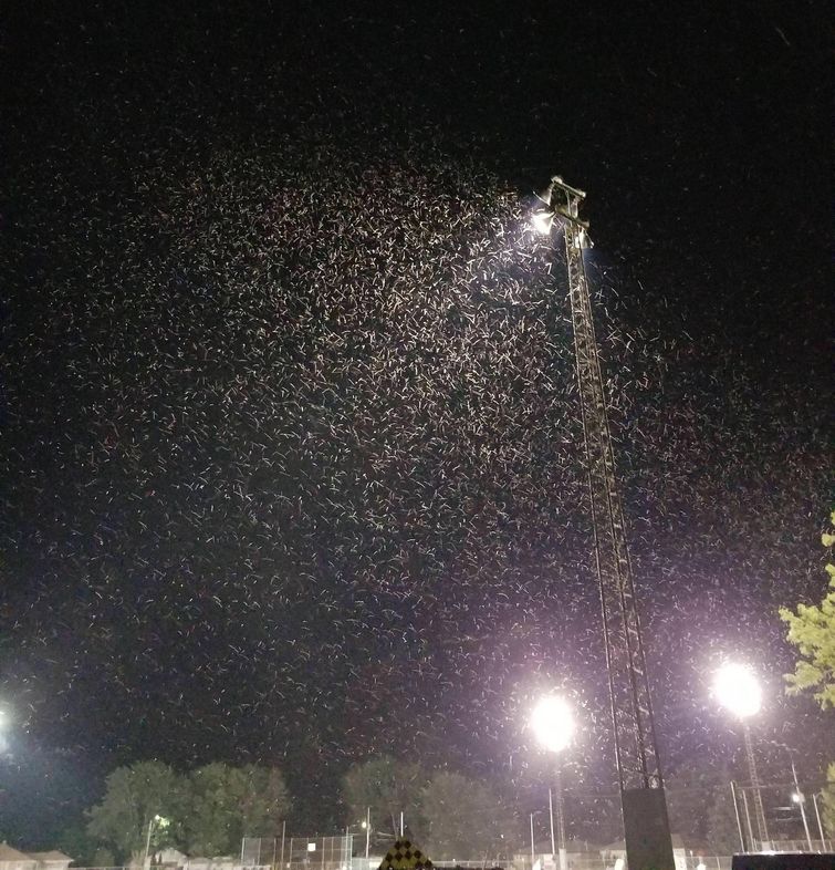 20 выбивающих из колеи фотографий, которые заставят вас почувствовать себя неуютно фотографии заставят понервничать, выбивающие из колеи фотографии, фотографии почувствовать себя неуютно