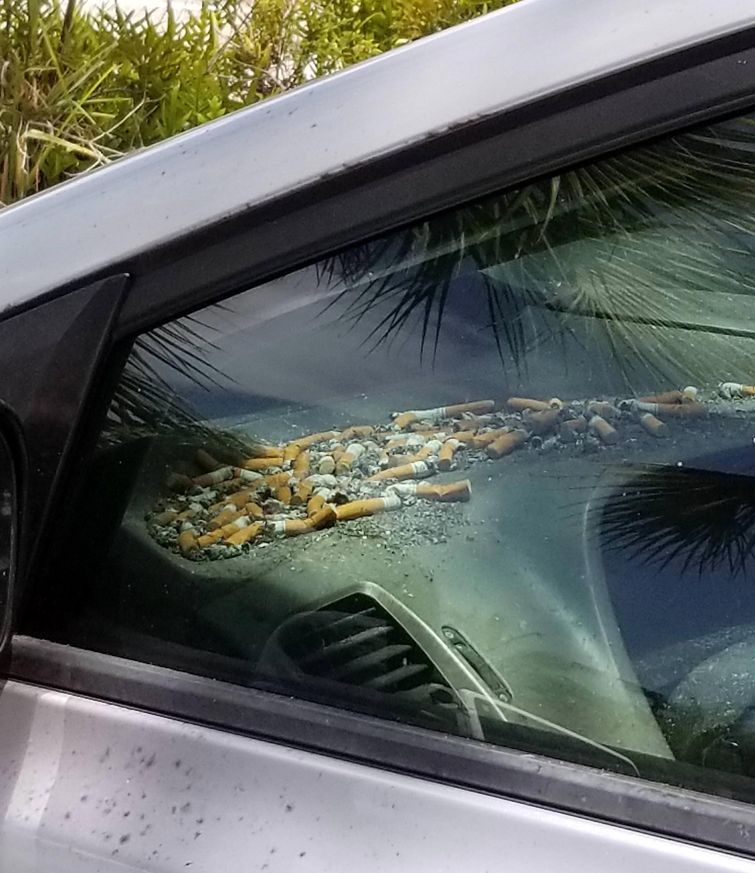 20 выбивающих из колеи фотографий, которые заставят вас почувствовать себя неуютно фотографии заставят понервничать, выбивающие из колеи фотографии, фотографии почувствовать себя неуютно