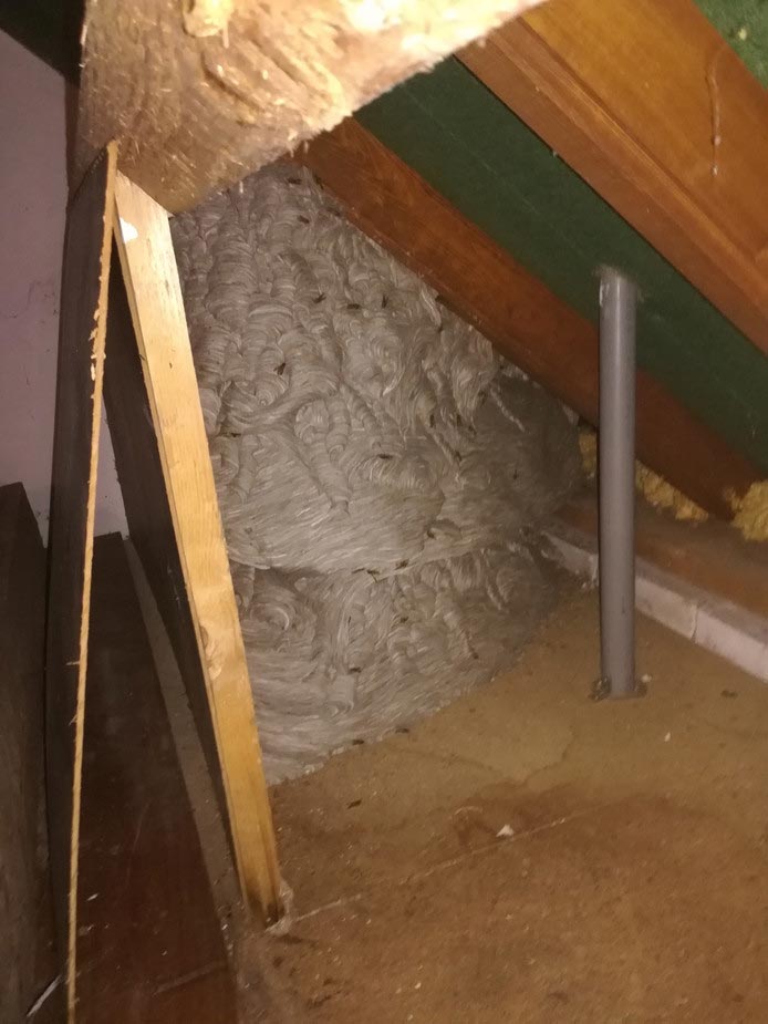 20 выбивающих из колеи фотографий, которые заставят вас почувствовать себя неуютно фотографии заставят понервничать, выбивающие из колеи фотографии, фотографии почувствовать себя неуютно