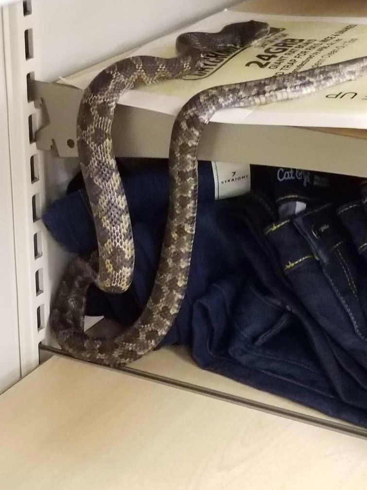 20 выбивающих из колеи фотографий, которые заставят вас почувствовать себя неуютно фотографии заставят понервничать, выбивающие из колеи фотографии, фотографии почувствовать себя неуютно