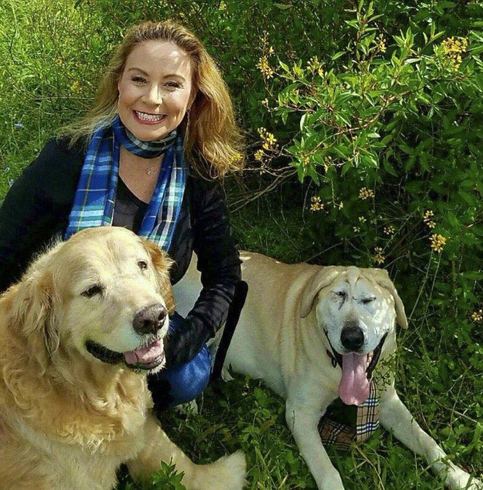 собака Бо Токс, Beaux Tox собака