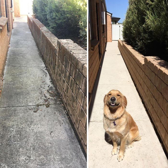 вещи до и после чистки, вещи до и после мойки, вещи до и после того как из отмыли