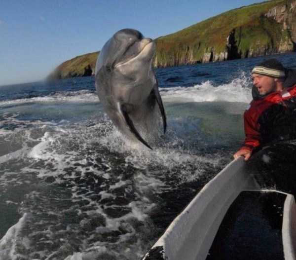 фотографии сделанные в нужный момент 