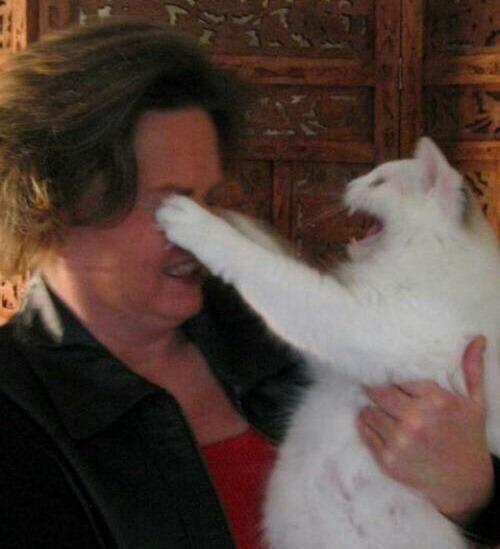 фотографии сделанные в нужный момент 