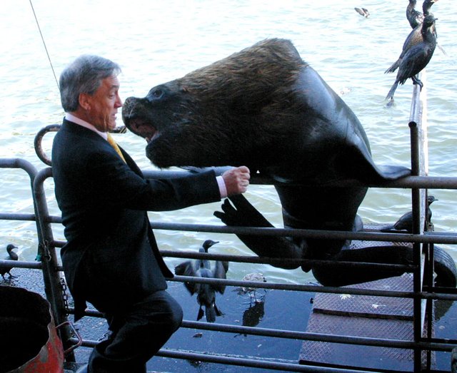 фотографии сделанные в нужный момент 