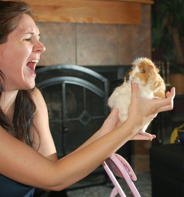 фотографии сделанные в нужный момент 