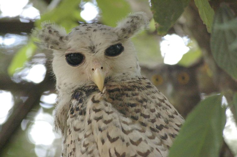 фотографии с сюрпризами, фото с сюрпризами, фото смотреть дважды