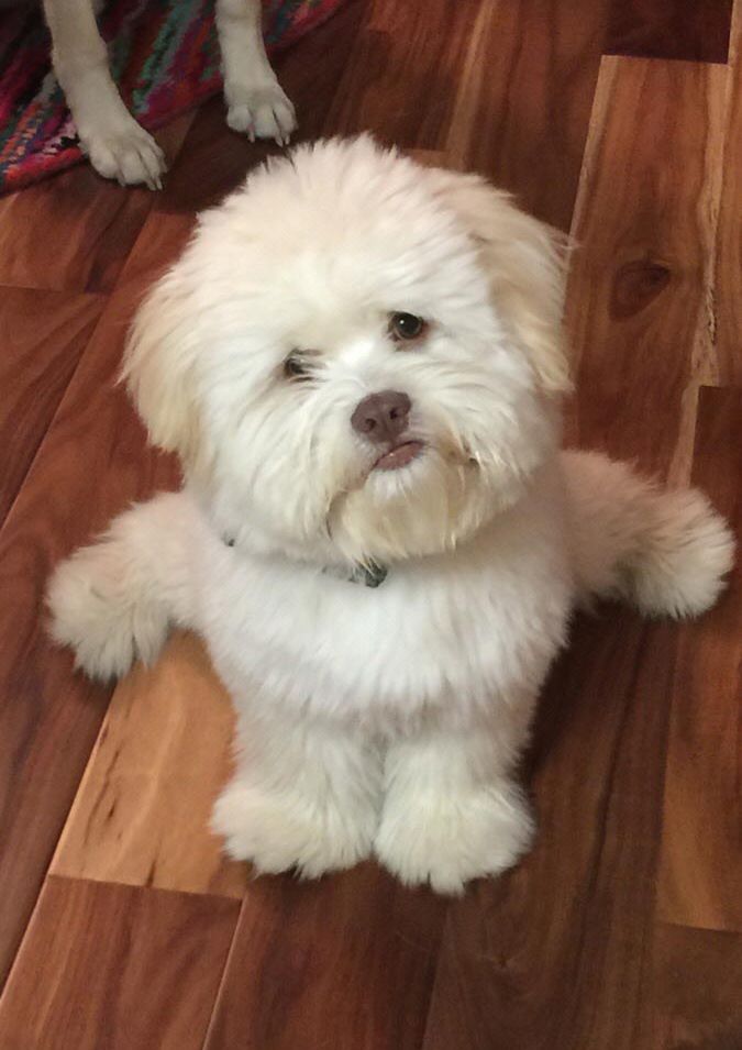 фотографии с сюрпризами, фото с сюрпризами, фото смотреть дважды